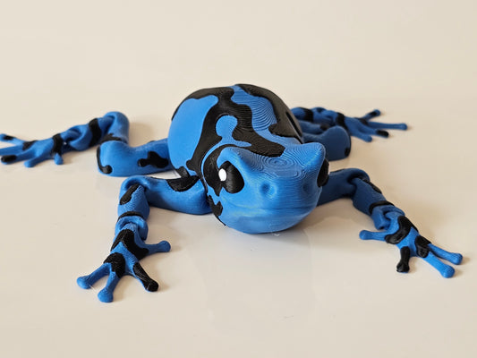Darcy, the Poison Dart Frog
