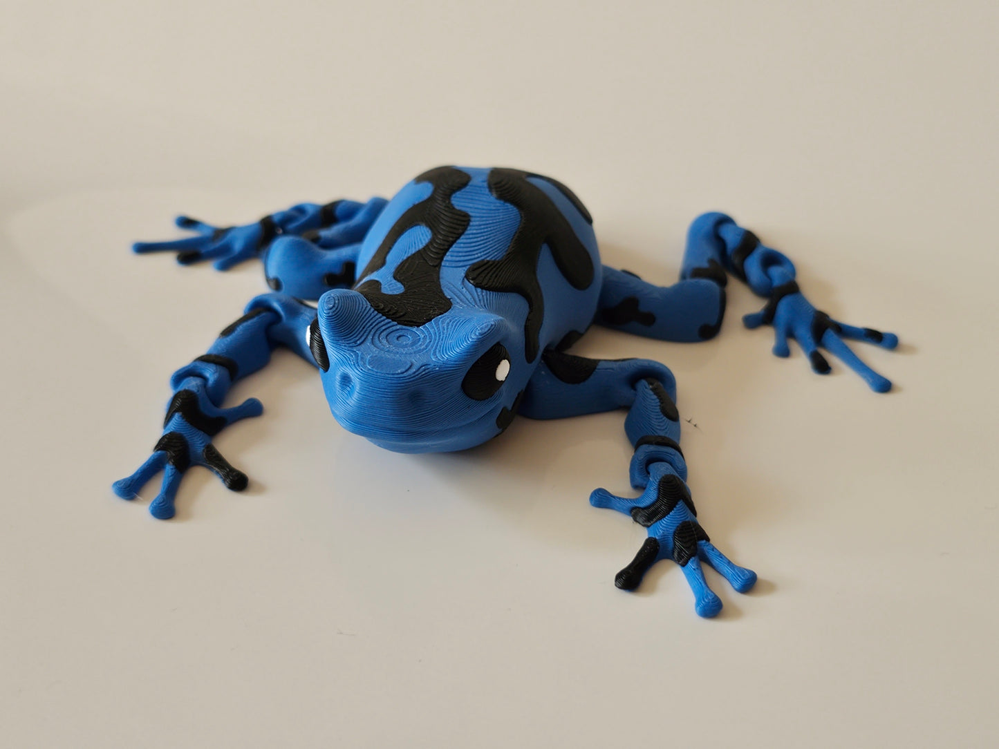 Darcy, the Poison Dart Frog