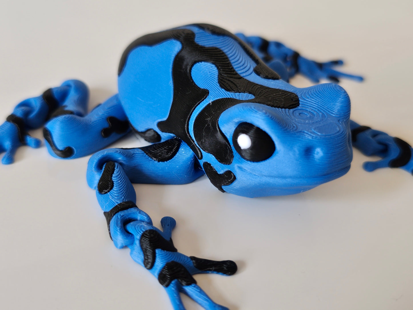 Darcy, the Poison Dart Frog