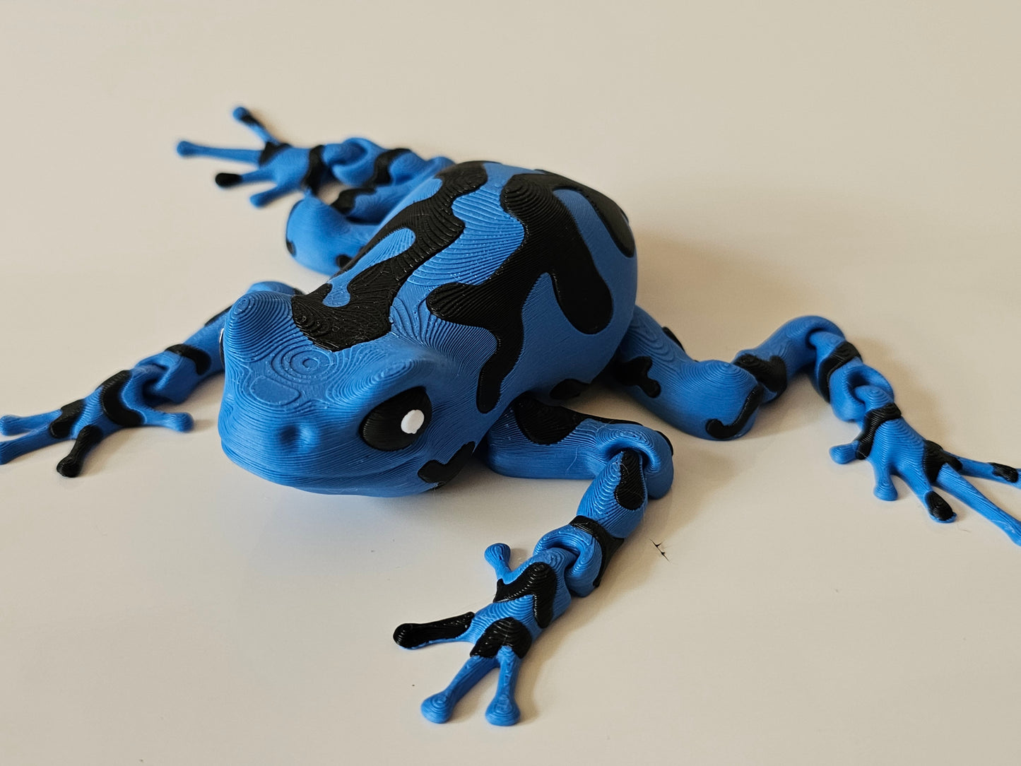 Darcy, the Poison Dart Frog